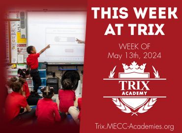  Trix Academy