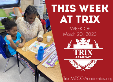  Trix Academy 