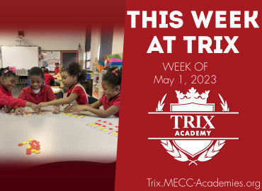  Trix Academy 