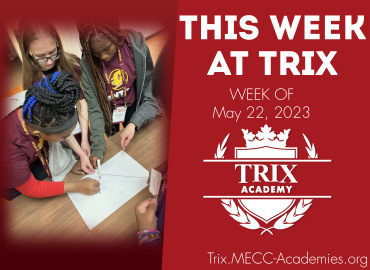  Trix Academy 