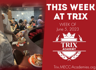  Trix Academy 