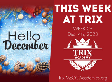  Trix Academy 