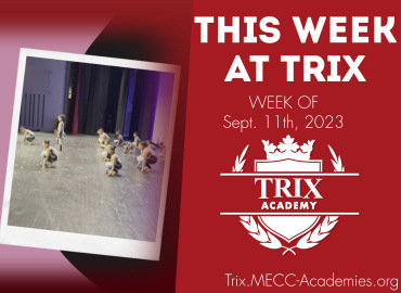  Trix Academy 