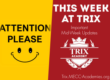  Trix Academy 