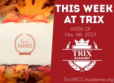  Trix Academy 