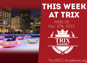  Trix Academy 