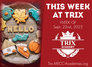  Trix Academy