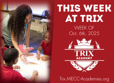  Trix Academy